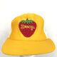 Vtg Driscoll Strawberry Patch Hat Logo Mesh Usa Snap Back Trucker Baseball Cap