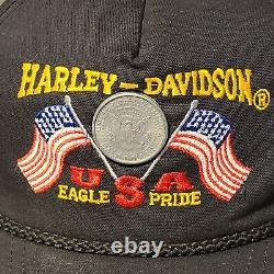 Casquette de camionneur Harley Davidson des années 70 et 80 avec drapeau américain, fierté et pièce de demi-dollar vintage