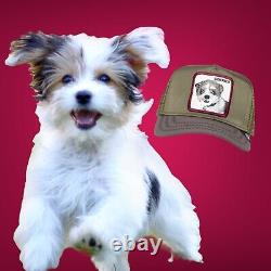 Goorin Bros Animal Farm Trucker Hat Cap Fowler's Sidekick Dog Capsule Préférée De Goorin Bros