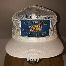 Vtg Blue Mountain Potatoe Growers 70s 80s USA K-brand Trucker Hat Cap Snapback